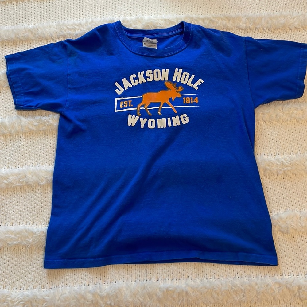 Moose T-shirt Jackson hole Wyoming youth group